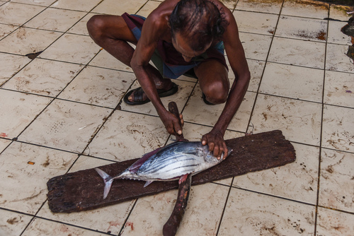 Targ rybny na obrzeżach miejscowości Weligama na Sri Lance. 