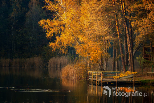 Fotografia przedstawia złotą jesień nad jednym z jezior w Golejowie woj. świętokrzyskie.