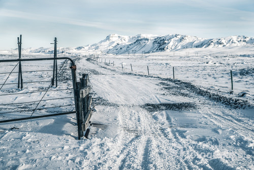 Okres zimowy na Islandii to bardzo krótki dzień lub jego brak, sztormowe pogody, śnieżyce ale są też takie dni jak ten i można wtedy wyruszyć za miasto jeśli drogi nie są zamknięte 
