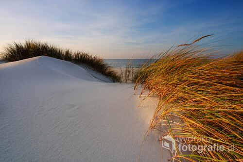 Fantazyjny kształt wydmy na wybrzeżu Bałtyku, w jesiennym ciepłym świetle.