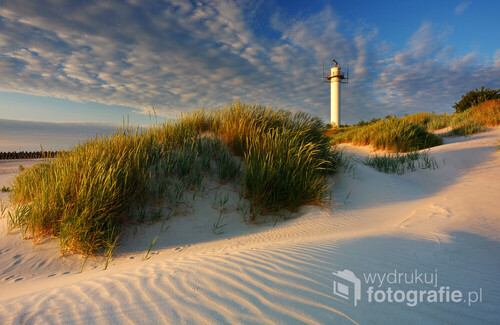 Wydmy na wybrzeżu Morza Bałtyckiego w ciepłym wiosennym świetle. Plaża w Kołobrzegu.