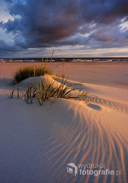 Letni wschód słońca na wybrzeżu Morza Bałtyckiego.