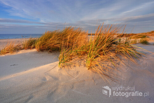 Bałtycka plaża, w ciepłych promieniach jesiennego słońca.