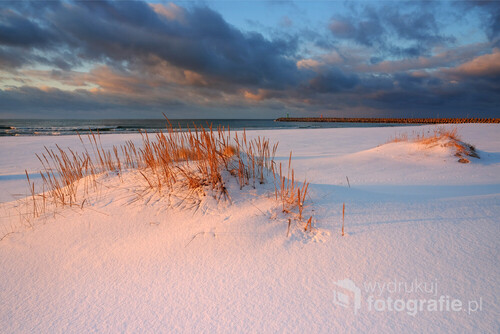 Wydmy na wybrzeżu Morza Bałtyckiego, w zimowej szacie. Plaża w Kołobrzegu, Polska.