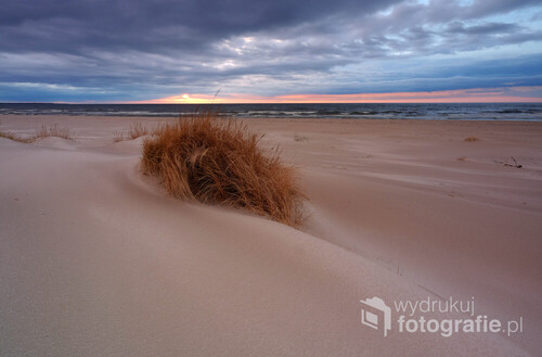 Wydmy na wybrzeżu Morza Bałtyckiego. Ciekawa struktura piasku na plaży w Kołobrzegu.