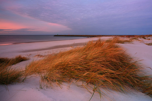 Wydmy na wybrzeżu Morza Bałtyckiego w ostatnich promieniach zachodzącego słońca, Kołobrzeg , Polska.