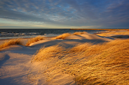 Wydmy na wybrzeżu Morza Bałtyckiego, w ostatnich promieniach słońca, Kołobrzeg, Polska.
