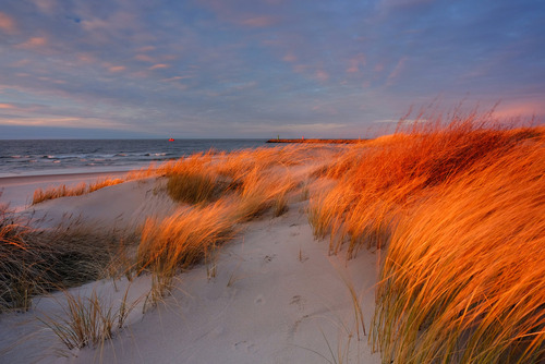 Wydmy na wybrzeżu Morza Bałtyckiego w ostatnich promieniach zimowego słońca, Kołobrzeg, Polska