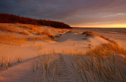 Wydmy na wybrzeżu Morza Bałtyckiego, w pięknym świetle zachodzącego słońca,Kołobrzeg, Polska.