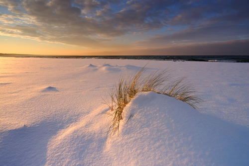 Zimowy krajobraz wybrzeża Morza Bałtyckiego, w pięknym świetle zachodzącego słońca, Kołobrzeg, Polska.