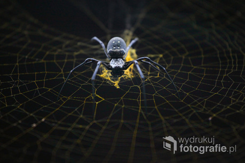 Gigantyczny pająk w jednej z balijskich świątyń.
