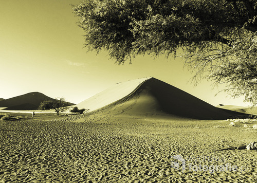 Park Narodowy pustyni Namib, Namibia 2013