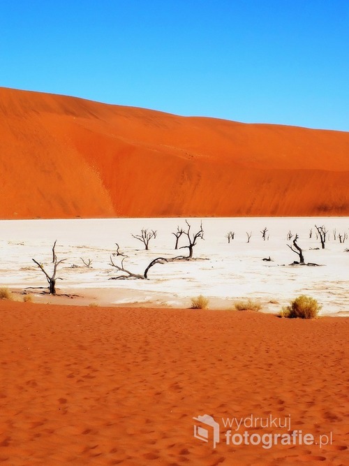 Pustynia Namib, Namibia 2013
