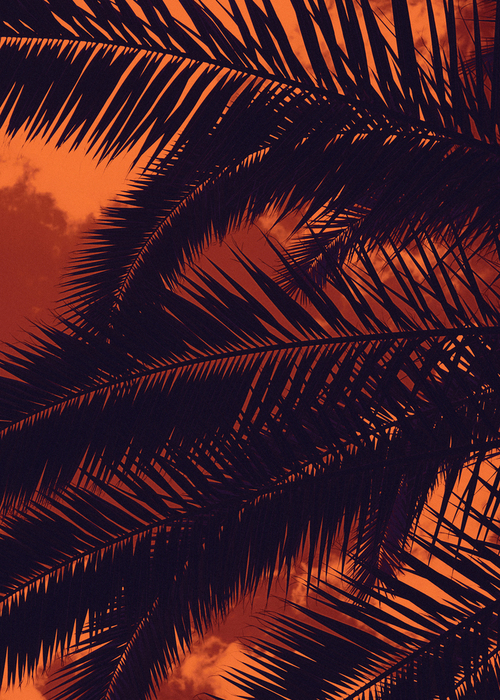 Zdjęcie wykonane w wakacje 2k20 na dziedzińcu uniwersytetu w Katani na Sycylii. Jednak nawiązuje swoim pomarańczowym kolorem i tytułem do sytuacji jaka miała miejsce w tamtym czasie w zachodniej części USA, gdzie przez wiele tygodni pożary niszczyły tamtejsze tereny, tak silnie, że niebo pokryte dymem i popiołem nad San Fransisco całkowicie zakryło słońce okrywając miasto pomarańczową poświatą, rodem z filmów postapokaliptycznych.