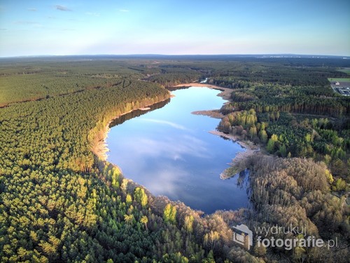 Jezioro w okolicy wsi Tarnówka, woj. wielkopolskie