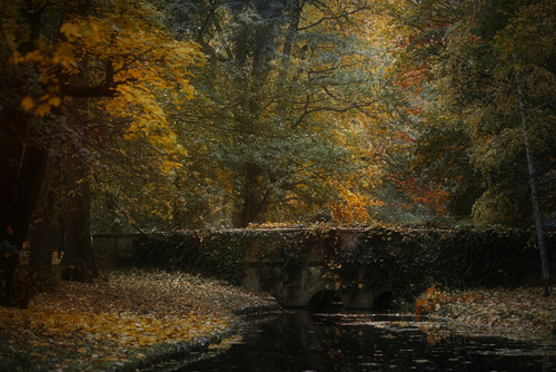 Jesienna, parkowa sceneria z mostem i rzeką. 