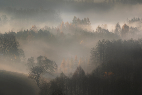 Jesienny Suwalski Parki Krajobrazowy w promieniach porannego światła. 