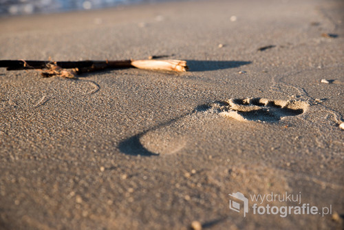Zdjęcie zrobione na plaży w Gdańsku Brzeźnie. Odcisk stopy na piasku.