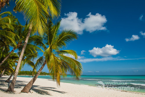 Rajska plaża na jednej z bezludnych wysp Morza Karaibskiego. Jest to teren rezerwatu i należy do Dominikany.