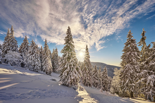 Grudniowe popołudnie w Masywie Śnieżnika- zejście z Hali Śnieżnickiej do lasu czerwonym szlakiem.