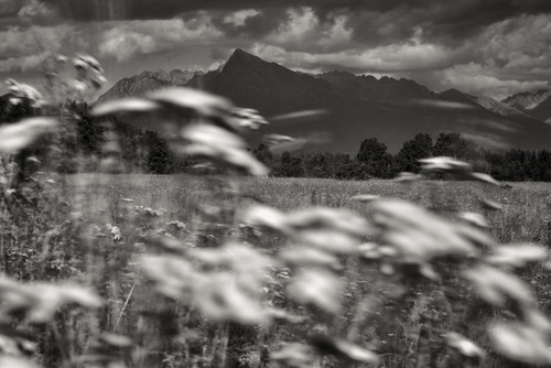 Zdjęcie stanowi część zestawu 3 fotografii zatytułowanego “Głodzone liptowskim wiatrem” (I, II, III). Zestaw można wyeksponować na ścianie w całości, każda z fotografii wchodzących w jego skład może samodzielnie dekorować wnętrze, można również zdecydować się na ekspozycję dwóch zdjęć (w dowolnym układzie).
Zdjęcie powstało w Tatrach w roku 2020. Jest to widok na Krywań z okolic Pribyliny.
Założony na obiektyw bardzo gęsty szary filtr wydłużający czas ekspozycji o ok. 1000x pozwolił na zarejestrowanie ruchu kwiatów na pierwszym planie pomimo dość ostrego słońca w przedpołudniowej porze.
Zestaw „Gładzone liptowskim wiatrem” zdobył I nagrodę w konkursie XXII Międzynarodowego Biennale Fotografii Górskiej – edycja 2022 (organizator: Jeleniogórskie Centrum Kultury) i był prezentowany na wystawie pokonkursowej w Muzeum Karkonoskim w Jeleniej Górze (16.09-16.10.2022r.).