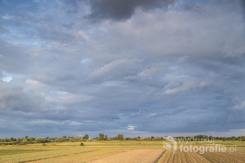 Późne lato na polach przykrytych niebieskimi chmurami. Ładny sielski wiejski widok. Małopolska, gmina Drwinia, Grobla
