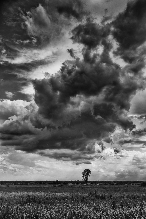 Samotne drzewo konta eksplodującą chmura. Taki chyba powinien być pełny tytuł tego zdjęcia :-) Czarno-białe zdjęcie lepiej oddaje dramatyczność podniebnych zmian, które się wtedy gwałtownie odbywały nad moja głową.
