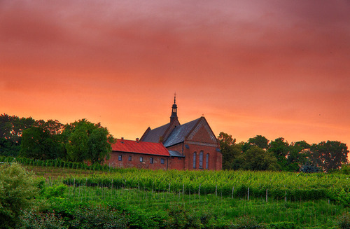 Zdjęcie wykonane w Sandomierzu, pewnego wieczoru gdy zachód słońca robił się coraz piękniejszy. Na zdjęciu widać kościół św. Jakuba wraz z otaczającymi go winnicami.