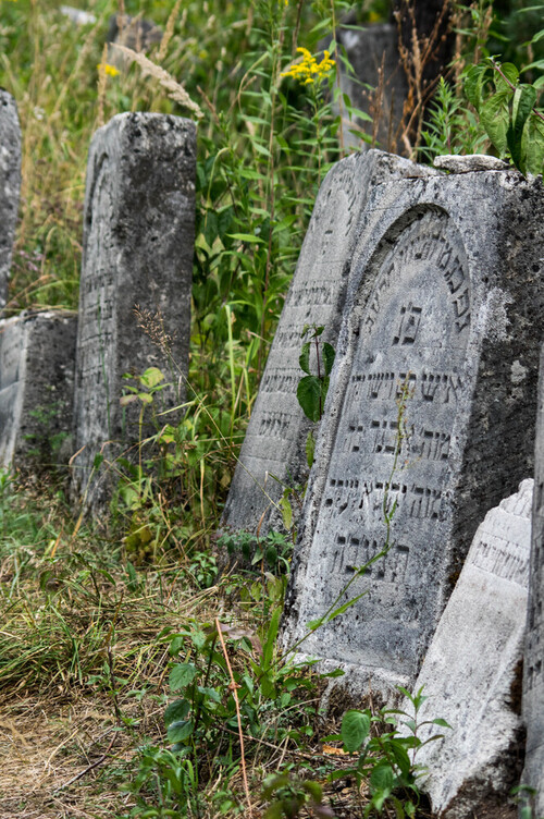 Jeden z największych cmentarzy żydowskich na Lubelszczyźnie.