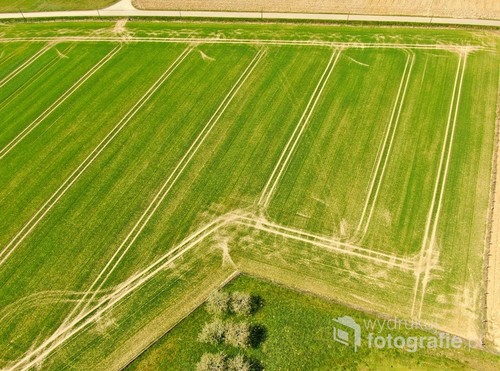 Fotografia przedstawia pole wczesna wiosną we Francji.