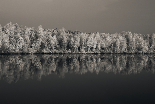 Fotografia przedstawia dystroficzne Jezioro Obradowskie na Polesiu Lubelskim (Pojezierze Łęczyńsko-Włodawskie) pod koniec sierpnia 2022. Zdjęcie wykonane wczesnym rankiem, aparatem przystosowanym do fotografowania w bliskiej podczerwieni.