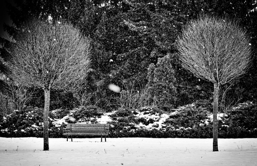 Śnieżny dzień odpowiedni na wykonanie zdjęć ze śniegiem. Wybrałam się do parku, gdzie atmosfera była maginczna.