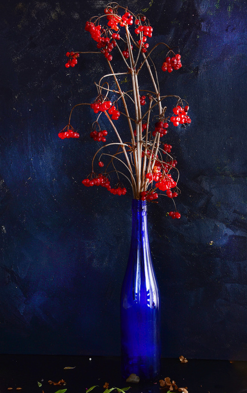 Fotografia studyjna, przedstawiająca bukiet gałązek krzewu kaliny, z czerwonymi owocami w niebieskiej szklanej butelce. Na granatowym tle