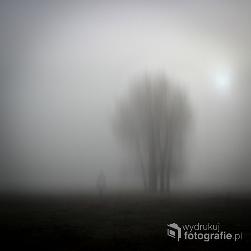 Toruń, jesienny mglisty poranek 2014 roku. 