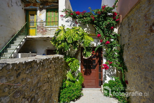 Drzwi w jednym z greckich miasteczek ukryte w gąszczu kwiatów i zachęcające, aby zapukać i dowiedzieć się kto tam mieszka