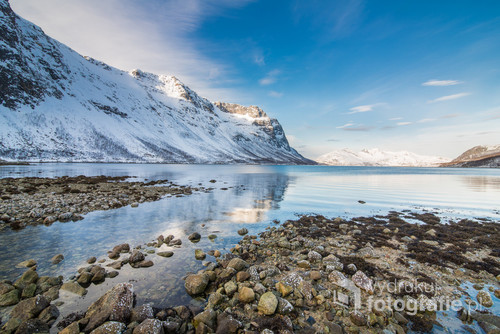 Stones by the cold sea with snowy peaks in the background Tromso, Norway