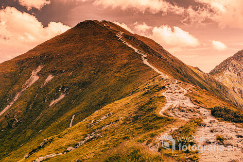 Zdjęcie wykonane ze szlaku z widokiem na Wołowiec w Tatrach Zachodnich.