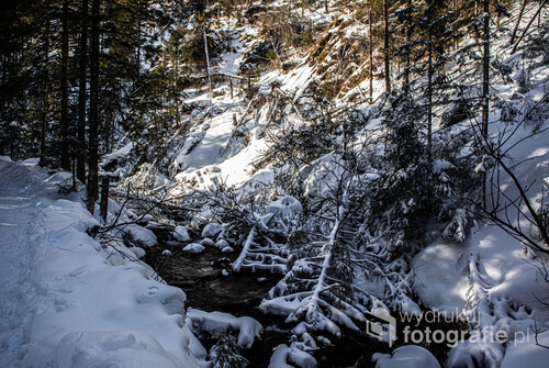 Zdjęcie wykonane z Doliny Kościeliskiej zimową porą z widokiem na potok górski.