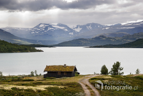 Chatka z zielonym dachem w górach Jotunheimen, Norwegia. sierpień 2014