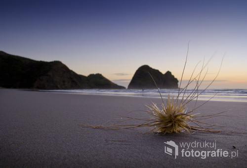 Piha Beach. Plaża niedaleko Auckland w Nowej Zelandii. Na plażę przyjeżdża mnóstwo serferów gdyż są tam idealne warunki do tego sportu. Bardzo rozległa, piaszczysta ze skałą po środku o nazwie Lion Rock. 
