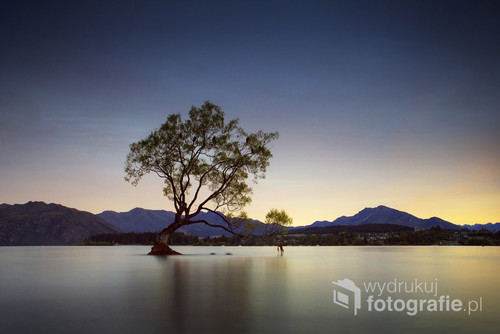 Samotna wierzba rosnąca w wodzie jeziora Wanaka przy miejscowości o tej samej nazwie w Nowej Zelandii. Drzewo jest dość słynne więc o wschodzie jak i zachodzie słońca na plaży gromadzi się gawiedź podziwiając jej urok. Miejsce bardzo urokliwe i przepiękne, otoczone górami, rzekami i jeziorami.
