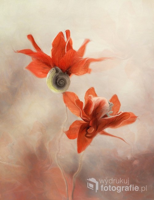 Kwiaty w malarskiej odsłonie