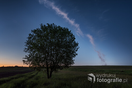 Zdjęcie zrobione podczas powrotu do samochodu. Dziwna chmura ułożyła się niczym droga mleczna nad samotnym drzewem w polu.