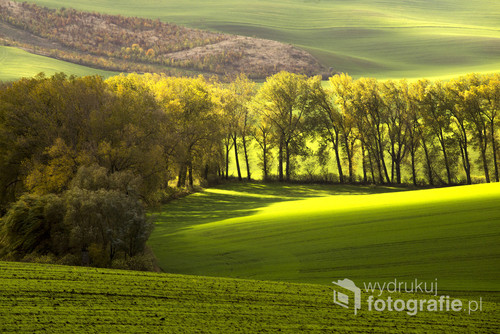 Zdjęcie powstało podczas wyjazdu na Morawy do Czech. Piękne krajobrazy malowniczych Moraw przypominają Toskanię. Jesienny wyjazd , na polach piękne żółto-zielone krajobrazy
