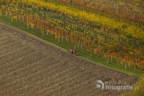 Zdjęcie powstało podczas wyjazdu na Morawy do Czech. Piękne krajobrazy malowniczych Moraw przypominają Toskanię. Jesienny wyjazd , na polach piękne żółto-zielone krajobrazy. przepiękne winnice, pola jesiennych kolorach
