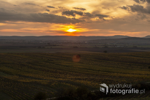Zdjęcia pochodzą z jesiennego wypadu na Morawy, gdzie można oglądać niesamowite widoki, wschody i  zachody słońca, kolorowe winne pola.
Piękne kolorowe krajobrazy. Gdzie okiem sięgnąć pola winogron

