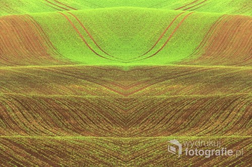 Zdjęcie wykonane podczas wyjazdu z grupą fotografów na Czeskie Morawy. Wiosenne kolory pól przyciągają wzrok nie jednego turysty. piękna kraina, pofałdowane pola. zaorane tereny przypominające bajkowe wzory w różnych kształtach