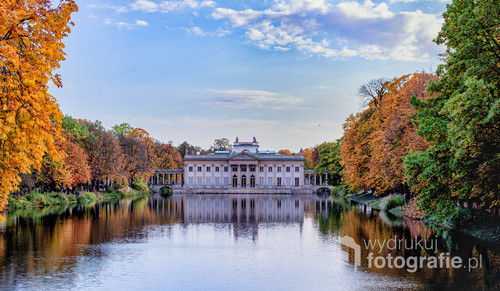 Jesienne kontrasty w kolorycie drzew w Pałacu Łazienkowskim