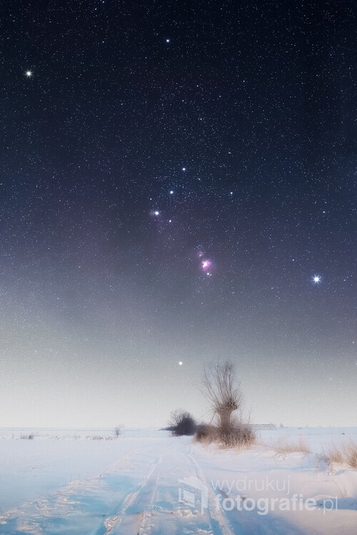 Król zimowego nieba - w prawdziwie zimowej scenerii. Gwiazdozbiór Oriona, jeden z najefektowniejszych gwiazdozbiorów na nocnym niebie sfotografowany na początku 2021 roku pod Trzemesznem k. Gniezna. 