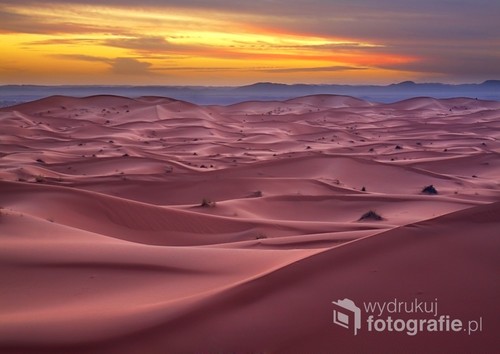 Piaski Sahary nabierają w świetle wieczoru fantastycznych barw. 